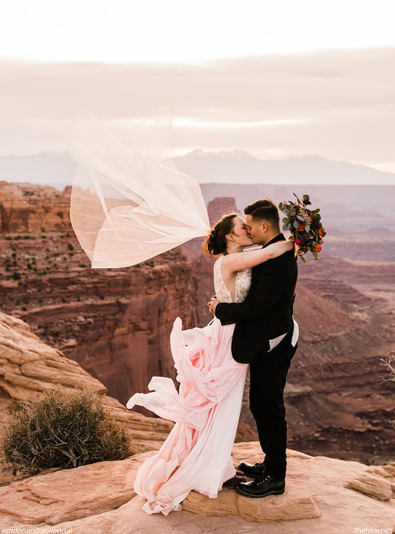 Erica veil