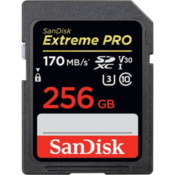 256GB Extreme Pro SD 170 90MBs