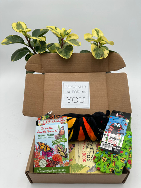 Little Gardener Gift Box