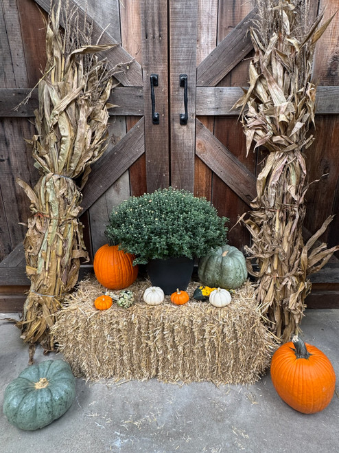 Fall Little Harvest Package $189.00