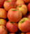 Apple, Cameron Select Honeycrisp-CVI