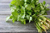 Growing Garden Kit-Warm Season Vegetable & Herb Pkg