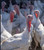 Farm Fresh Turkey- 21-24lb. (xl)