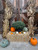 Fall Little Harvest Package $189.00
