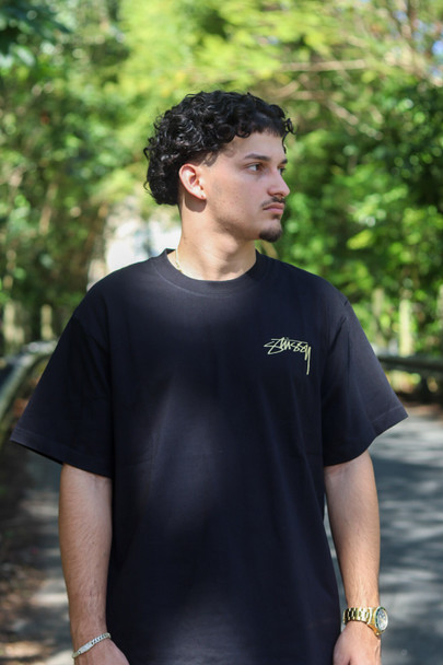 STUSSY STATUA - ST001