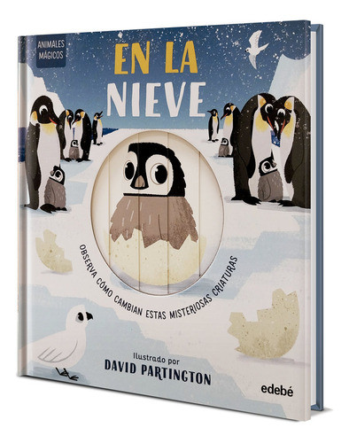 Cover book