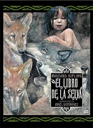 Cover book