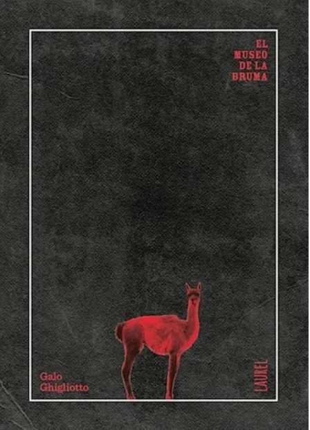 El Museo De La Bruma. Galo Ghigliotto