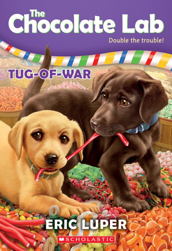 Cover book