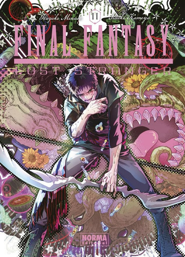 Cover book