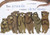 Cover book Cover book