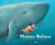 Cover book Cover book