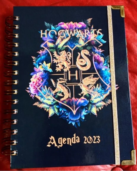 Agenda Harry Potter 2023