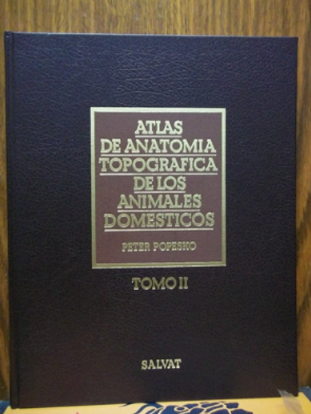 ATLAS DE ANATOMIA TOPOGRAFICA DE LOS ANIMALES DOMESTICOS