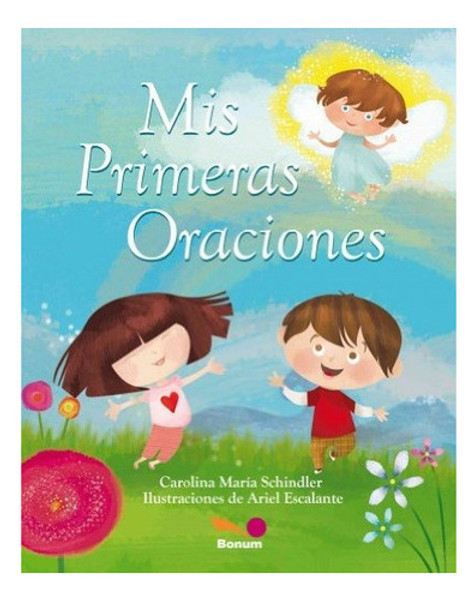 Cover book