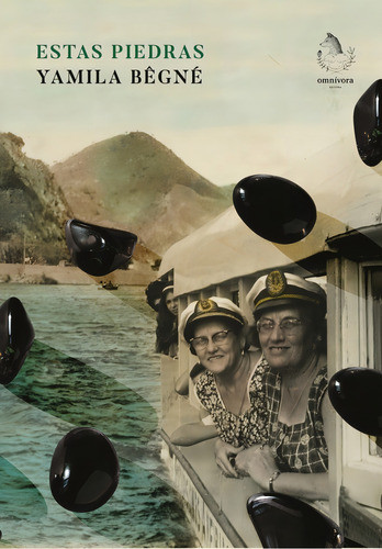 Cover book
