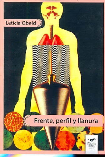 Cover book