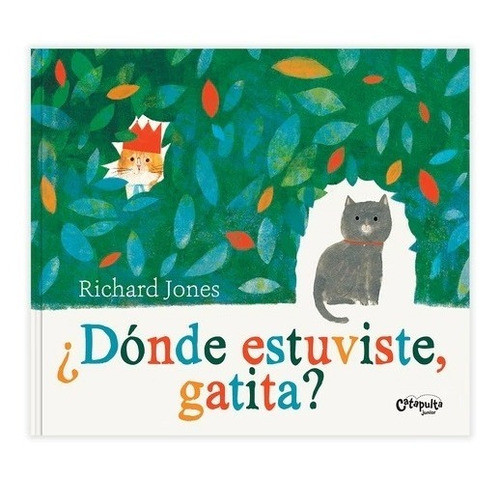 Cover book