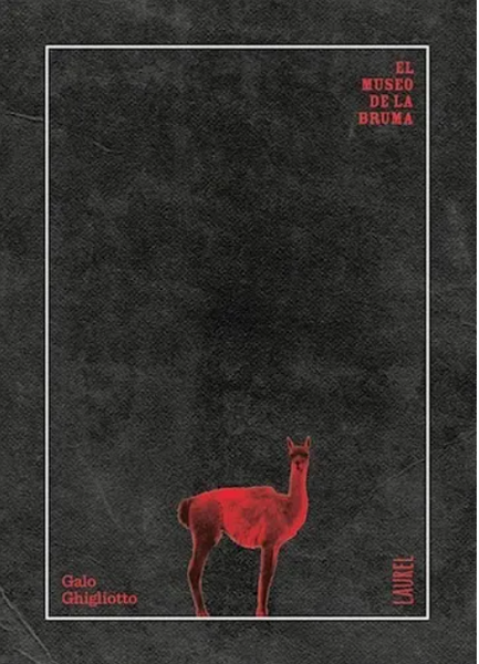 El Museo De La Bruma. Galo Ghigliotto