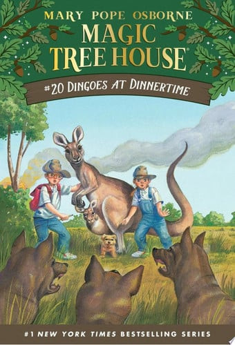 Cover book