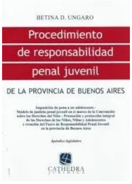 Procedimiento De Responsabilidad Penal Juvenil De La Provinc