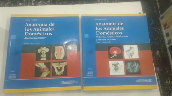Anatomía De Los Animales Domésticos (tomo 1 Y 2) USADOS