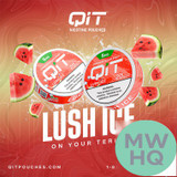 QIT Enhanced Flavor Burst Tobacco-Free Nicotine Pouches - 20 Pouches Per Can - Pack of 5 Cans