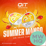 QIT Enhanced Flavor Burst Tobacco-Free Nicotine Pouches - 20 Pouches Per Can - Pack of 5 Cans