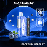 Foger Switch Pro Kit 30K Puffs 19ML Nixodine Disposable Device & Power Bank - Display of 5 - Strawberry Watermelon
