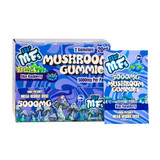 LIL' MFs Mega Heroic Dose Mushroom Gummies 5000MG - 2ct Pack - Display of 20 Packs - Blue Raspberry