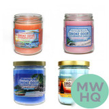 Smoke Odor Exterminator Candle - 13 oz