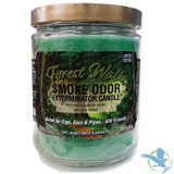 Smoke Odor Exterminator Candle - 13 oz - Forest Walk