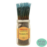 Wild Berry Incense Sticks - 11 Inches - Pack of 100 - SET 1