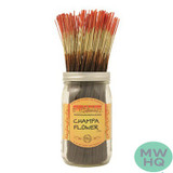Wild Berry Incense Sticks - 11 Inches - Pack of 100 - SET 1