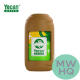Yocan Green Personal Air Filter Kit
