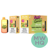 Pillow Talk Sour Control SC40000 Puffs 20ML Disposable Device With Ice & Sour Control - Display of 5 - TEXAS COMPLIANT