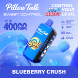Pillow Talk Sweet Control SC40000 Puffs 20ML Disposable Device With Ice & Sweet Control - Display of 5 - TEXAS COMPLIANT - Blueberry Crush
