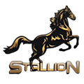 Stallion