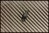 FX NYTRO VENT FITTING