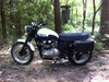 Seat Concepts Comfort Seat - Triumph SCRAMBLER/THRUXTON/BONNEVILLE (2001-2016)