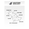 Saddlemen Explorer Lattice Stitch Seat - Harley-Davidson XL Sportster 4.5 Gal Tank (2004-2020)