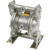 LiquiDynamics Biodiesel Double Diaphragm Pump - 3/4in., Model# 20015-YB