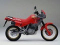 NX650 Dominator