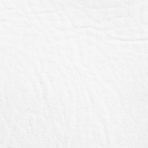 Classic White