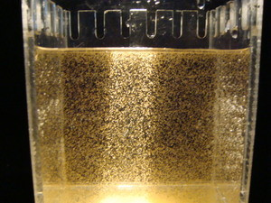 Decapsulated Brine Shrimp Egg Kit Buy Hatching Shell