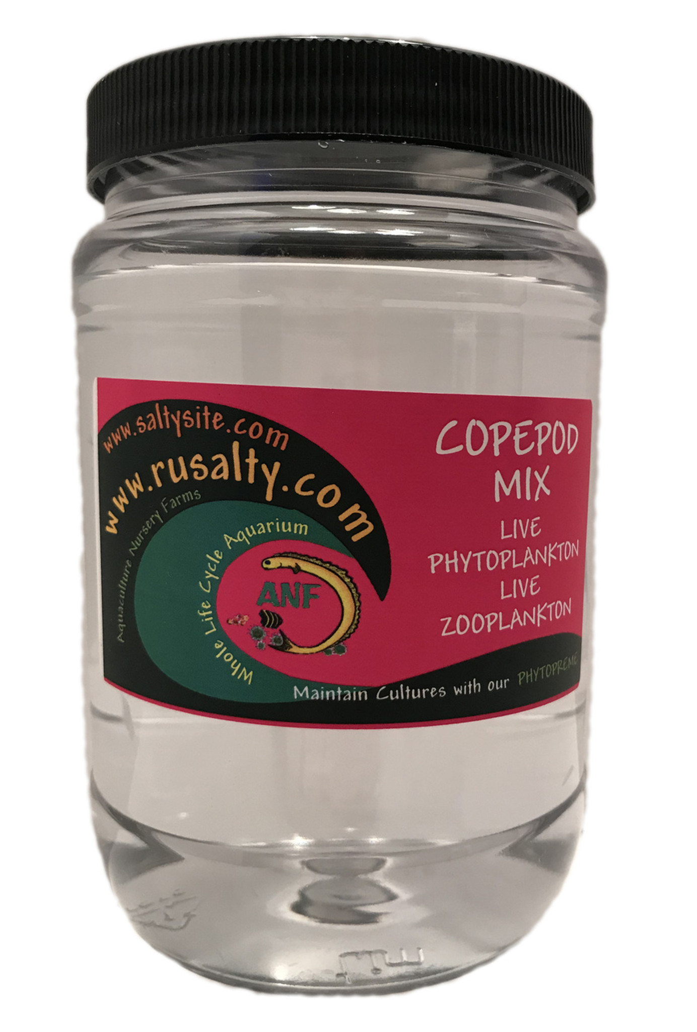 Copepod | Mix 5 Types of Saltwater Pods | Copepods Available