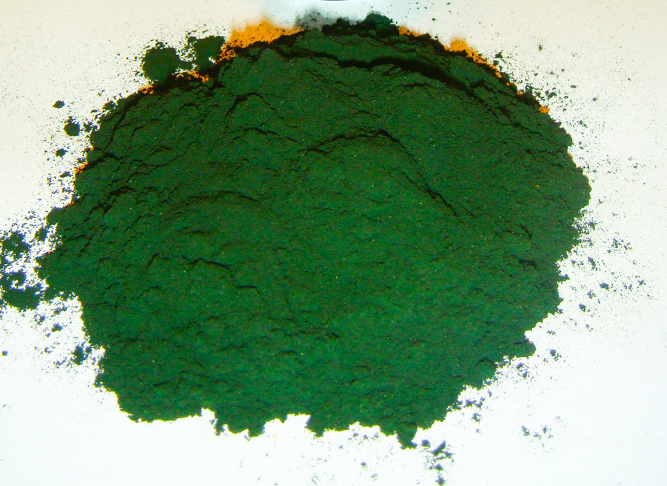 Buy Spirulina Algae Phytoplankton for Sale. Get Spirulina to Feed