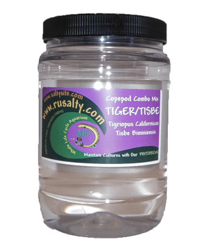 Seahorse Food for Sale Food for seahorse Live Seahorse Food