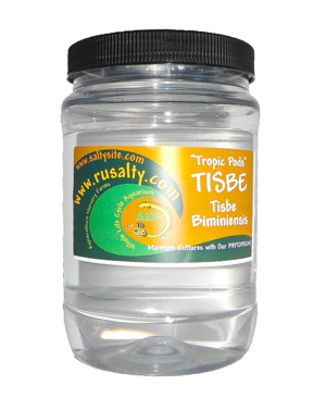 tisbe-pods-copepods-live-fish-food-saltwater-aquarium-mandarin-food-tisbe-biminiensis.jpg