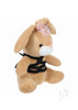 Sli Bunny Shibari Brown